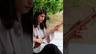 Mesmerizing Melodies on Setar ✨IranianMusic Setar PersianCulture Music BeautifulSounds سهتار [upl. by Joletta587]