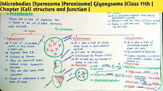 Microbodies Sperosome Peroxisome Glyoxysome Class 11th Chapter Cell structure and function [upl. by Shifrah]