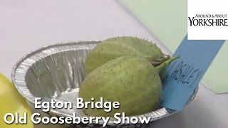 Egton Bridge Old Gooseberry Show [upl. by Ronen385]