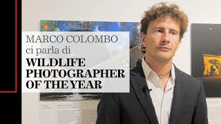 Wildlife Photographer of the Year Marco Colombo [upl. by Desimone]