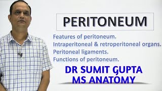 PERITONEUM Part 1 [upl. by Flavian859]