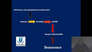 VerEvMed Lecture DNA Damage Repairs on the Aging Genome Dr Dan Guerra [upl. by Anahsed]