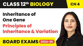 Inheritance of One Gene  Principles of Inheritance amp Variation  Class 12 Biology Chapter 4  CBSE [upl. by Gaven]