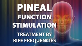 Pineal Function Stimulation  RIFE Frequencies Treatment  Energy amp Quantum Medicine  Bioresonance [upl. by Nalid857]