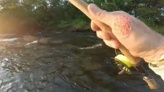 916  9272024  Salmon River Fishing  Pulaski NY  Chinook and Coho [upl. by Nogaem]