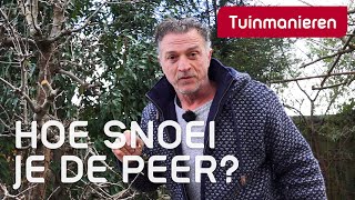 De perenboom snoeien in maart Hoe doe je dat  Snoeien  Tuinmanieren [upl. by Regen]