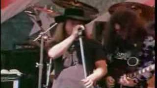 Lynyrd Skynyrd  Free Bird Live [upl. by Eugenides245]