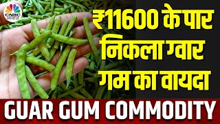 Guar Seed in NCDEX  ग्वार में नज़र आ रही Demand 2 हफ्तों की ऊंचाई पर पहुंचे दाम  Commodity Market [upl. by Felty682]