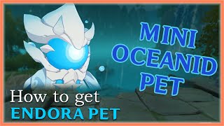 ENDORA PET  How to Get the Mini Oceanid Pet Genshin Impact Tutorial [upl. by Raphael930]