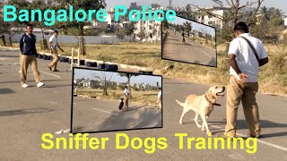 Sniffer Dogs Training Bangalore Police  Labrador Doberman German Shepherd [upl. by Ciro]