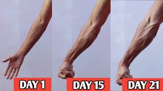 Get deadly forearms in 21 days  Home workout [upl. by Vizza]