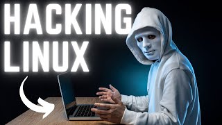 Please Dont Ignore The Best Linux For Hacking [upl. by Harad764]