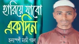 হৃদয়স্পর্শী মরমি গজল hariye jabo ekdin হারিয়ে যাবো একদিন [upl. by Aram681]