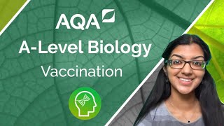 AQA A Level Biology Types of Immunity and Vaccination [upl. by Nahte922]