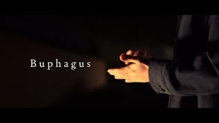 Buphagus  48H [upl. by Nomyt]