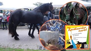 de BEROEMDE paardenmarkt ZUIDLAREN 171023 vlog138 [upl. by Idalla]