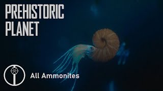 All Ammonites in Prehistoric Planet [upl. by Canfield]