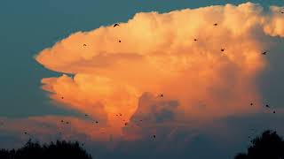 Cumulonimbus cloud in sunset [upl. by Meggie]