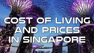 Cost of Living and Prices in Singapore [upl. by Nowed235]