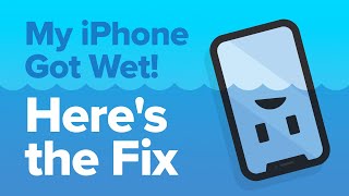 My iPhone Got Wet How To Fix iPhone Water Damage [upl. by Alled]