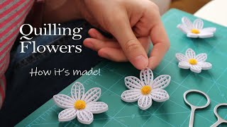 Paper Quilling Flowers  How Its Made  No4  DIY [upl. by Bramwell]