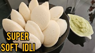 PERFECT IDLI RECIPE SUPER SOFT IDLI RICE IDLI RECIPE MAJLIS KITCHEN [upl. by Alek]