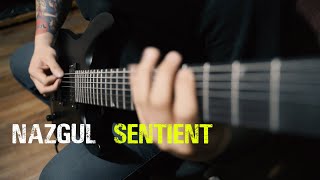 Seymour Duncan Nazgul amp Sentient 7 string test [upl. by Engracia]