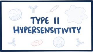 Type II hypersensitivity cytotoxic hypersensitivity  causes symptoms amp pathology [upl. by Esimaj]