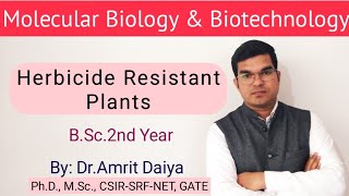 Herbicide Resistant Plants खरपतवारनाशी रोधी पादपHindi amp English BSc By DrAmrit Daiya [upl. by Eimrots]