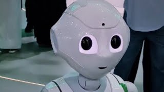 Gitex Global 2023 Robots Showcased on Day 3 [upl. by Ardnait]