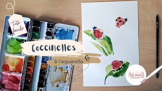 Coccinelles à laquarelle [upl. by Roger]