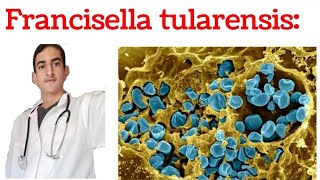 Francisella tularensis [upl. by Dorlisa]