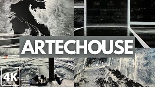 Amazing Digital Art Exhibit at ARTECHOUSE in Chelsea NYC  TRUST with fuse [upl. by Nimesay733]