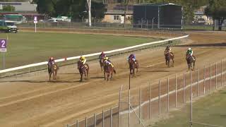 Bundaberg 20240831 Race 5 [upl. by Tai847]