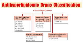 46 Hypolipidemic Drugs  Classification of hypolipidemic Drugs  Antihyperlipidemic Drugs Class [upl. by Lymann]