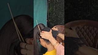 Ball backcombing process how to make hairstyle base shortvideo hair shortsfeed shorts [upl. by Leirbma368]