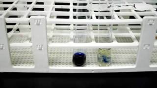 Indophenol as an indicator for ascorbic acid vitamin C [upl. by Jaban]