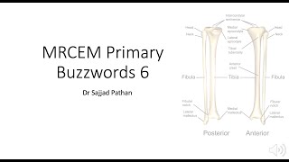 MRCEM Primary Buzzwords 6 Lower Limb Anatomy [upl. by Dor]