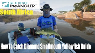 Call of the Wild The Angler South Africa How To Catch Diamond Smallmouth Yellowfish Guide [upl. by Ahsenat]