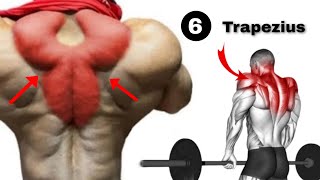 Best Trapezius Muscle Pain Relief Workout [upl. by Aklim]