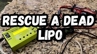 How To Recharge a Fully Dead Lipo Battery [upl. by Vardon]