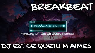 MineChyID  EST CE QUETU MAIMES BREAKBEAT MIXTAPE V2 [upl. by Flanna]