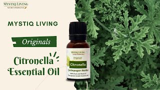 What is Citronella Essential Oil Used For [upl. by Saffian909]