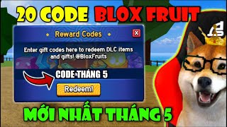 Tổng Hợp 20 CODE X2 EXP Và Reset Chỉ Số STATS Mới Nhất Tháng 5 Trong Blox Fruit  Roblox [upl. by Rehotsirk]