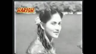 Honeymoon Movie Song Mere khwabo mein Manoj Kumar Sayeeda Khan Sujit Kumar Jeevan Lalita Pawar1960 [upl. by Olav416]