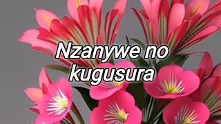 Karahanyuze TEREZA MWANA NKUNDAVideo Lyrics [upl. by Indys]