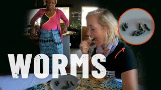 Trying to eat Mopane Worms for the first time Zimbabwe S5  Eps 78 [upl. by Ennairej]