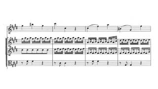 Violin Concerto quotSpring  La Primaveraquot in E major Op 8 No 1  Vivaldi Score [upl. by Richter]