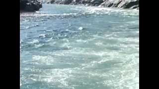 Gomukh Se Ganga Sagar Documentary Film [upl. by Rosenkrantz345]