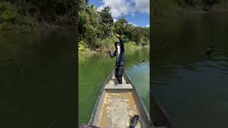 🎣😎 UN BASS PELION🎣😎 JAGUAS pesca nature pescaynaturaleza pescasostenible fishingvideo fishing [upl. by Aliekat]